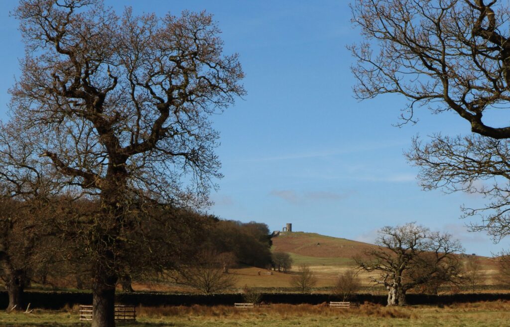 Bradgate Park in Leicestershire