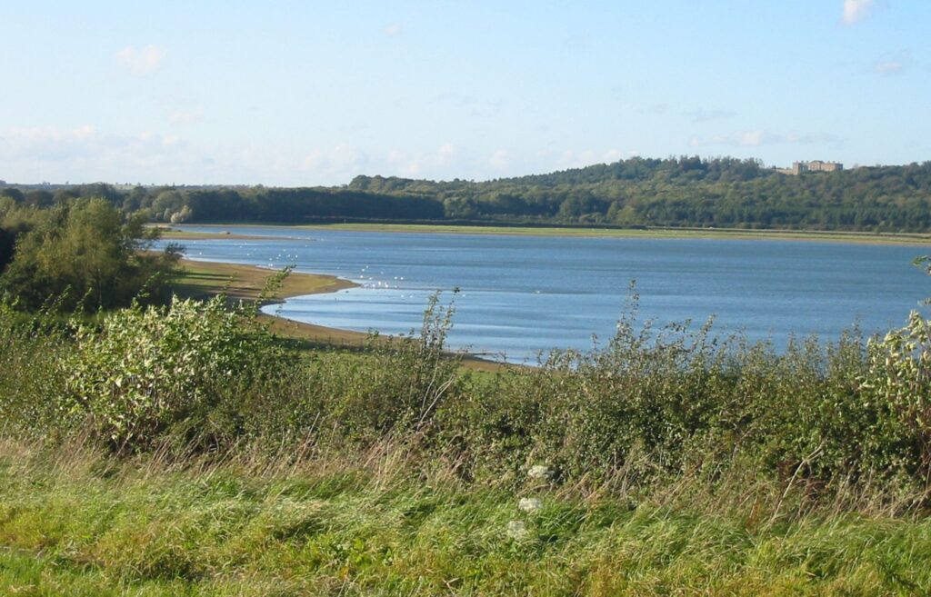 Rutland Water in Leicestershire